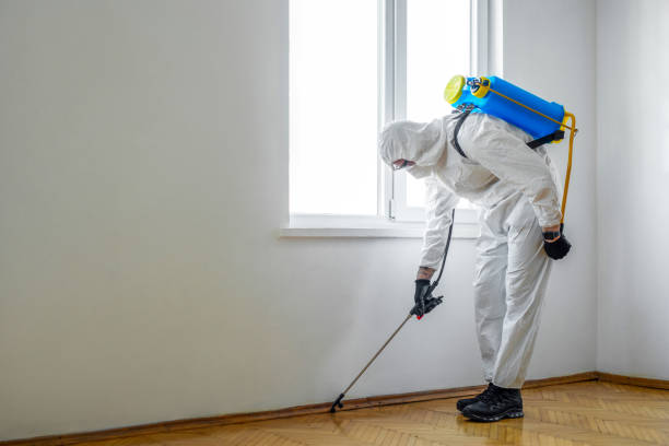 Pest Prevention Services in Solon, OH